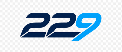 Logo 229